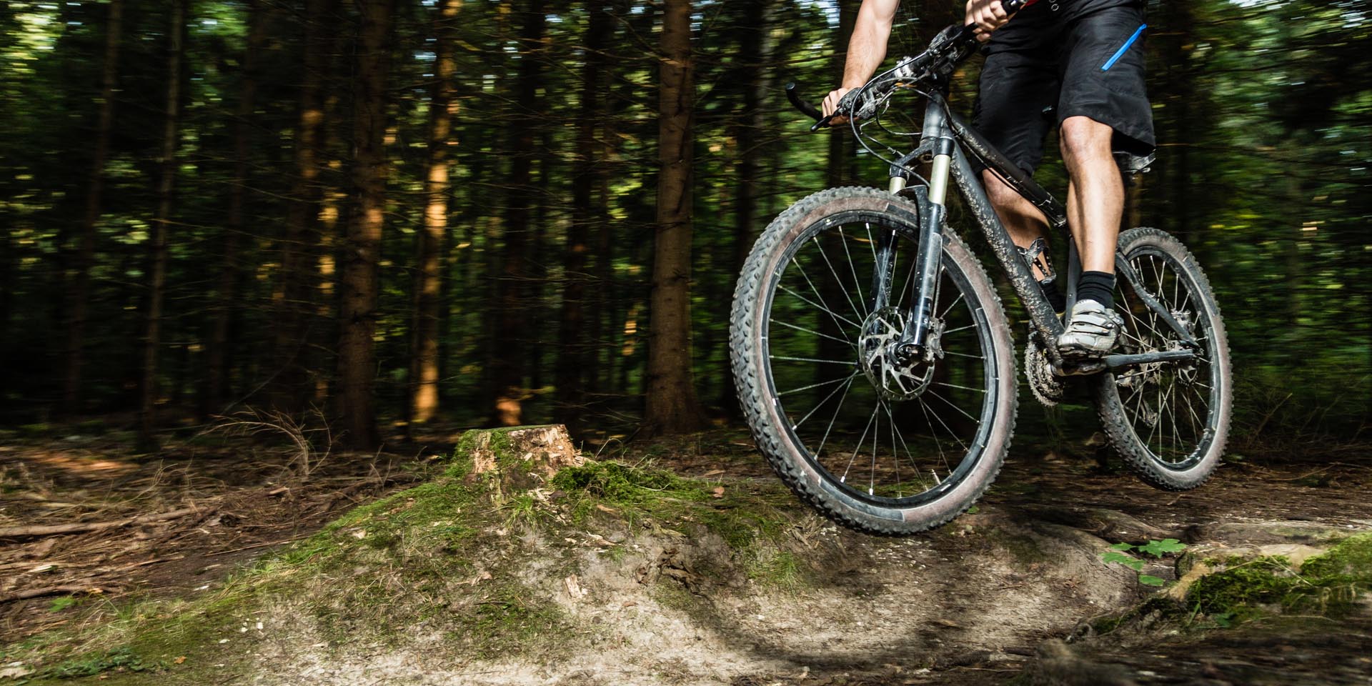 Mountainbiker im Wald